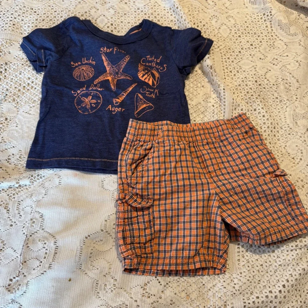 Cherokee 24M Blue Sea Life Graphic Tee & Faded Glory 18M Orange Plaid Shorts Set